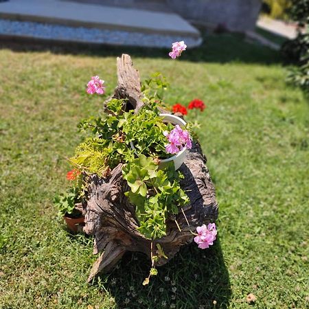Villa Karolina Ohrid Exteriör bild