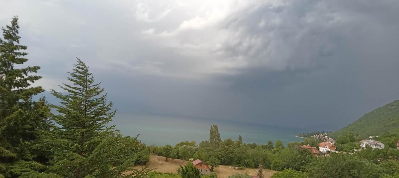 Villa Karolina Ohrid Exteriör bild
