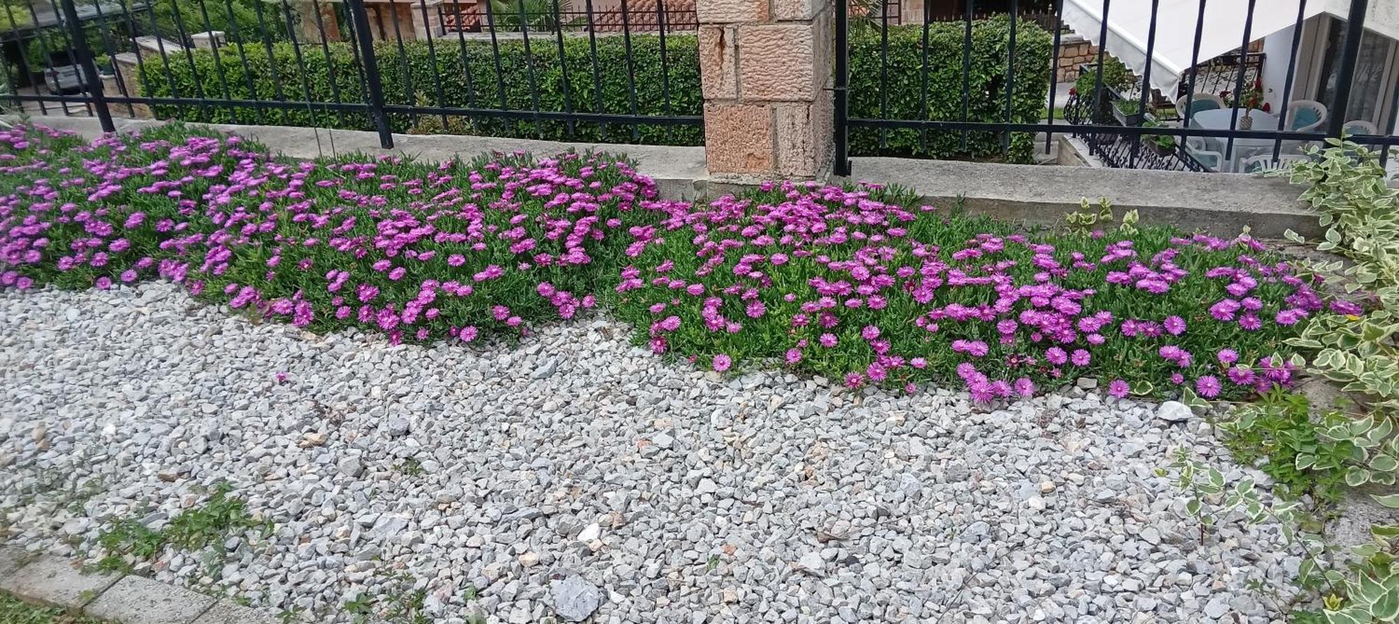 Villa Karolina Ohrid Exteriör bild