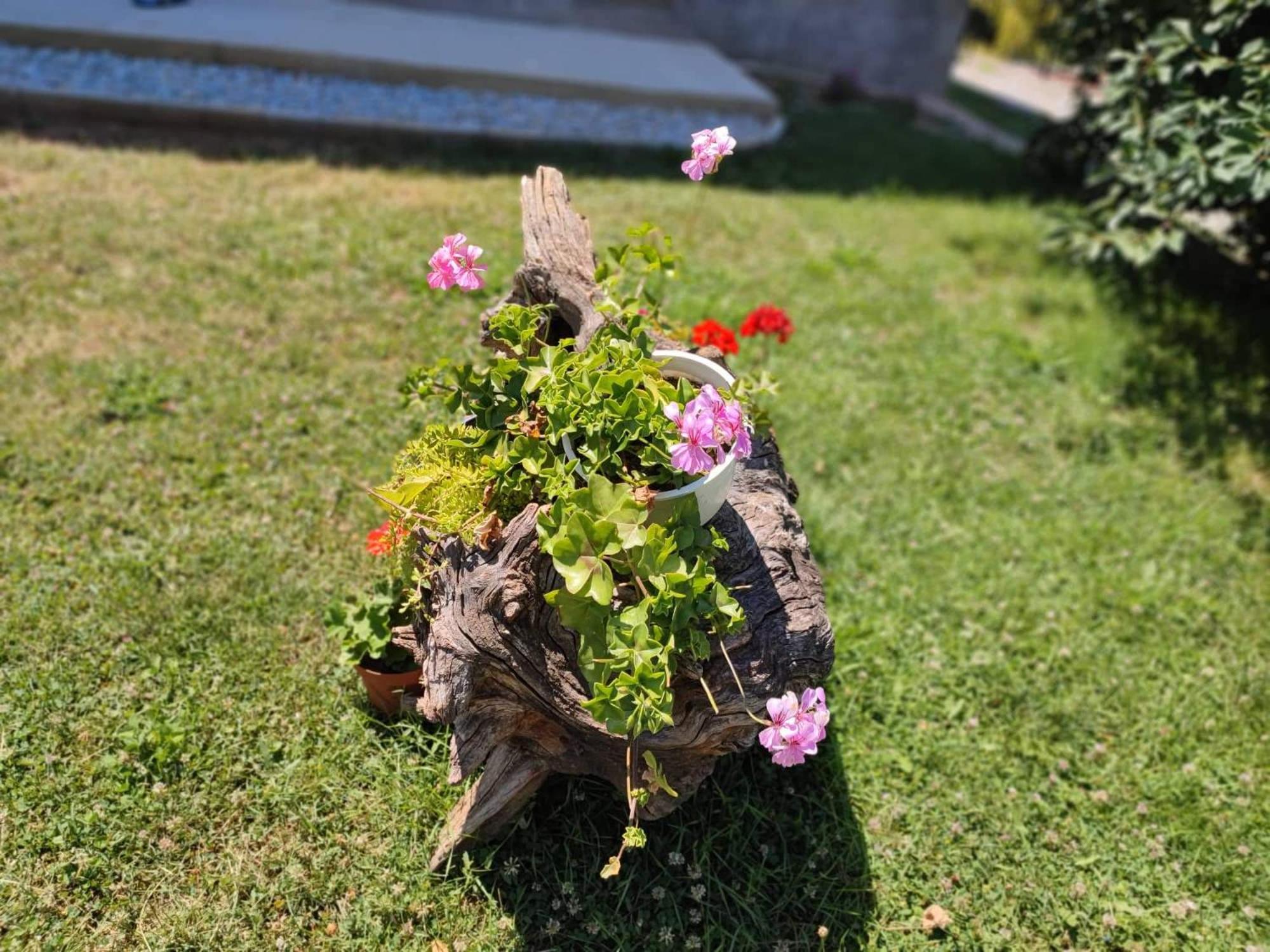 Villa Karolina Ohrid Exteriör bild